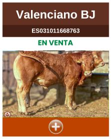 valenciano