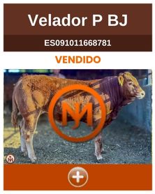 velador